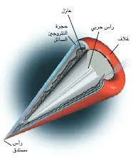 http://oloommagazine.com/images/Articles/18/SCI2002b18N1_H03_002074.jpg