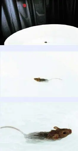 http://oloommagazine.com/images/Articles/19/SCI2001b19N5_H04_001898.jpg