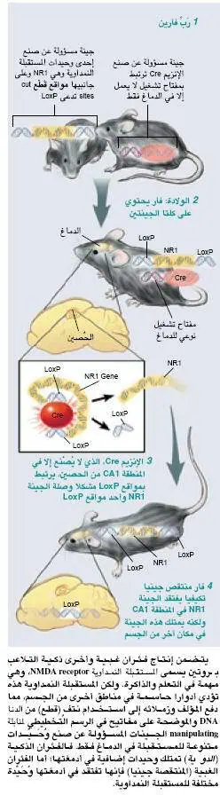 http://oloommagazine.com/images/Articles/19/SCI2001b19N5_H04_001900.jpg