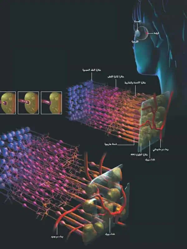 http://oloommagazine.com/images/Articles/19/SCI2003b19N1_H03_002762.jpg