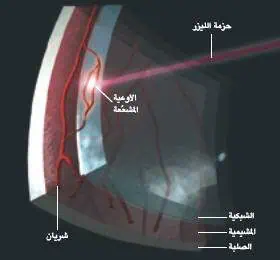 http://oloommagazine.com/images/Articles/19/SCI2003b19N1_H03_002768.jpg