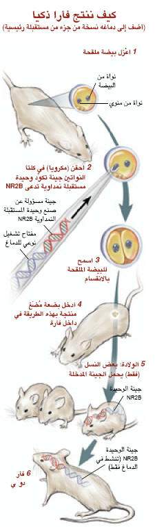 http://oloommagazine.com/images/Articles/19/SCI2001b19N5_H04_001901.jpg