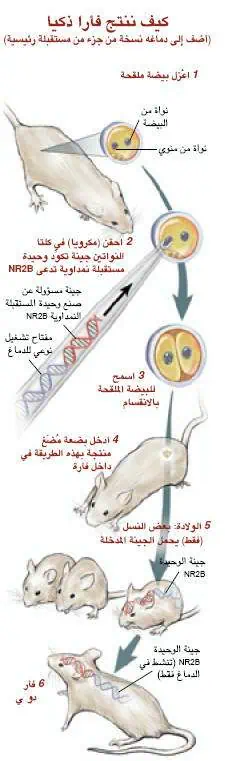 http://oloommagazine.com/images/Articles/19/SCI2001b19N5_H04_001901.jpg