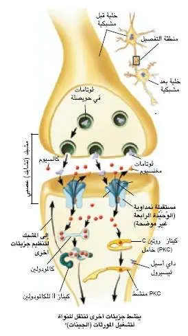 http://oloommagazine.com/images/Articles/19/SCI2001b19N5_H04_001903.jpg