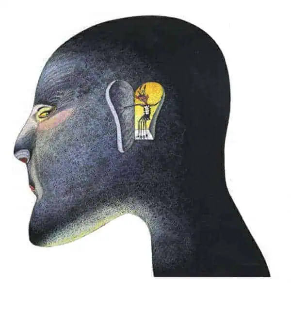 http://oloommagazine.com/images/Articles/19/SCI2003b19N10_H02_002607.jpg