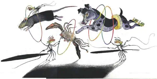 http://oloommagazine.com/images/Articles/19/SCI2003b19N10_H02_002608.jpg
