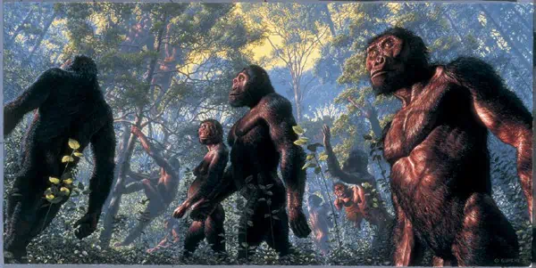 http://oloommagazine.com/images/Articles/19/SCI2003b19N10_H01_009213.jpg