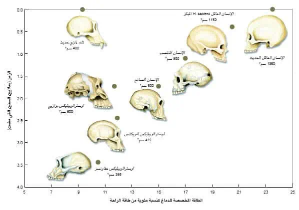 http://oloommagazine.com/images/Articles/19/SCI2003b19N10_H01_009215.jpg