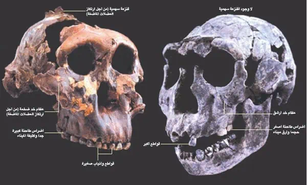 http://oloommagazine.com/images/Articles/19/SCI2003b19N10_H01_009216.jpg