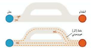 http://oloommagazine.com/images/Articles/19/SCI2001b19N5_H01_00457.jpg