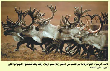 http://oloommagazine.com/images/Articles/19/SCI2003b19N10_H01_009218.jpg