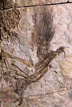 http://oloommagazine.com/images/Articles/19/SCI2003b19N10_H05_002624.jpg