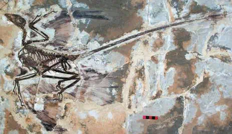 http://oloommagazine.com/images/Articles/19/SCI2003b19N10_H05_002625.jpg