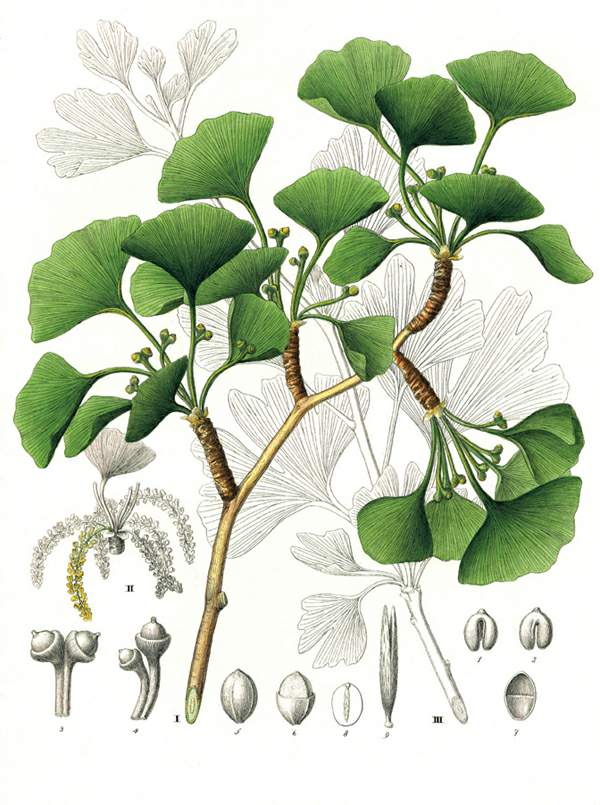 http://oloommagazine.com/images/Articles/19/SCI2003b19N10_H03_002610.jpg