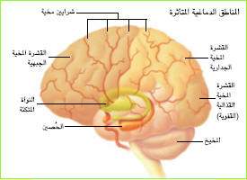 http://oloommagazine.com/images/Articles/19/SCI2003b19N10_H03_002611.jpg
