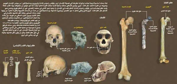 http://oloommagazine.com/images/Articles/19/SCI2003b19N8-9_H01_00601.jpg