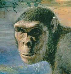 http://oloommagazine.com/images/Articles/19/SCI2003b19N8-9_H01_00602.jpg