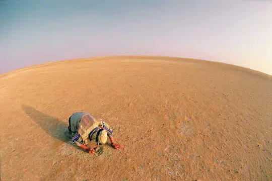 http://oloommagazine.com/images/Articles/19/SCI2003b19N8-9_H01_00603.jpg