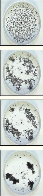 http://oloommagazine.com/images/Articles/19/SCI2001b19N5_H01_00464.jpg