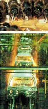 http://oloommagazine.com/images/Articles/19/SCI2001b19N5_H01_00465.jpg