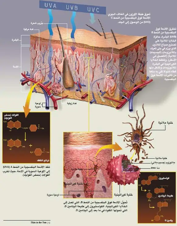 http://oloommagazine.com/images/Articles/19/SCI2003b19N6-7_H03_00516.jpg