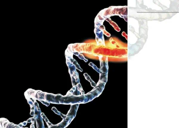 http://oloommagazine.com/images/Articles/19/SCI2003b19N6-7_H02_00512.jpg