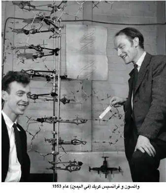 http://oloommagazine.com/images/Articles/19/SCI2003b19N6-7_H02_00514.jpg