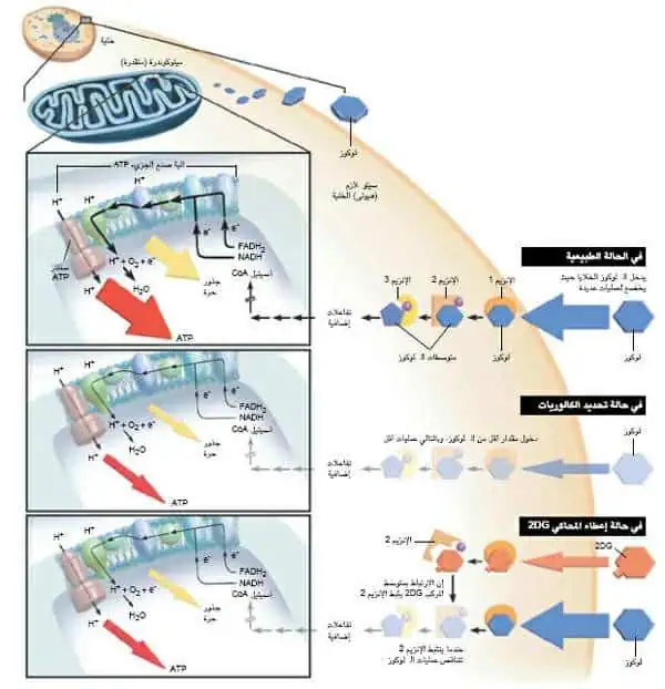 http://oloommagazine.com/images/Articles/19/SCI2003b19N2-3_H02_002844.jpg