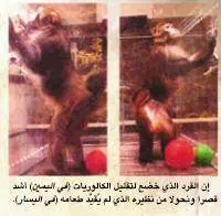http://oloommagazine.com/images/Articles/19/SCI2003b19N2-3_H02_002846.jpg