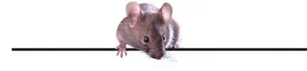 http://oloommagazine.com/images/Articles/19/SCI2001b19N5_H04_00485.jpg
