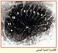 http://oloommagazine.com/images/Articles/19/SCI2003b19N2-3_H05_002864.jpg