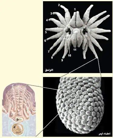 http://oloommagazine.com/images/Articles/19/SCI2003b19N2-3_H05_002865.jpg