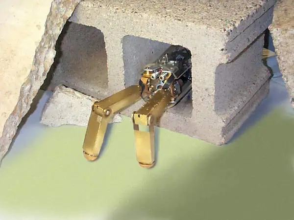 http://oloommagazine.com/images/Articles/20/SCI2004b20N1_H04_003253.jpg