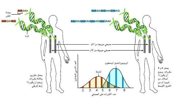 http://oloommagazine.com/images/Articles/20/SCI2004b20N1_H02_003231.jpg