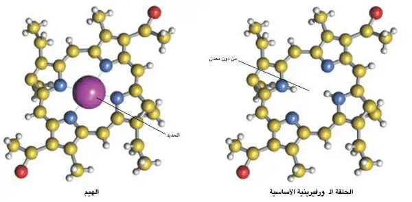 http://oloommagazine.com/images/Articles/20/SCI2004b20N1_H01_003218.jpg