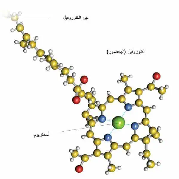 http://oloommagazine.com/images/Articles/20/SCI2004b20N1_H01_003219.jpg