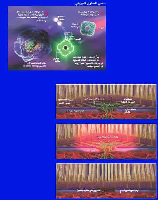 http://oloommagazine.com/images/Articles/20/SCI2004b20N1_H01_003220.jpg
