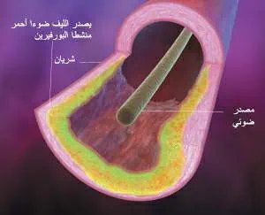 http://oloommagazine.com/images/Articles/20/SCI2004b20N1_H01_003221.jpg