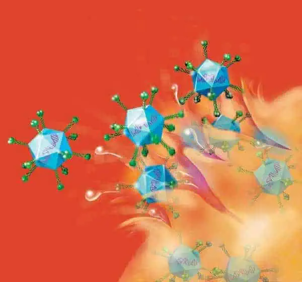 http://oloommagazine.com/images/Articles/20/SCI2004b20N1_H05_003254.jpg