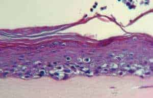 http://oloommagazine.com/images/Articles/20/SCI2004b20N1_H05_003255.jpg