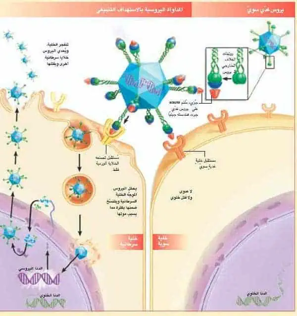 http://oloommagazine.com/images/Articles/20/SCI2004b20N1_H05_003258.jpg