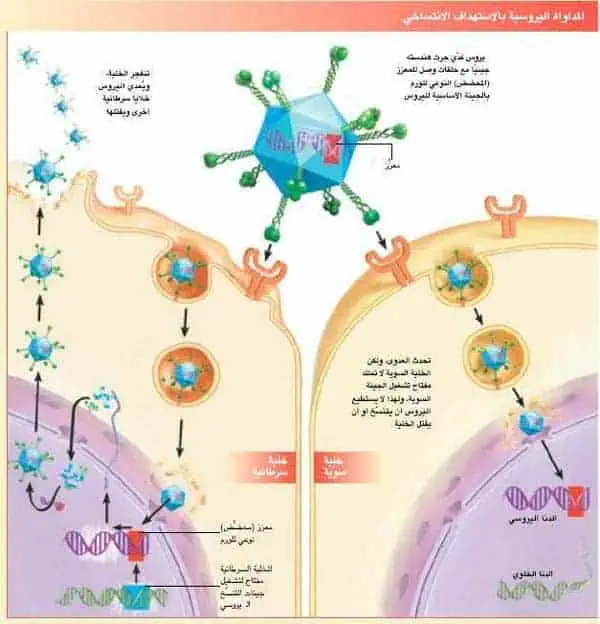 http://oloommagazine.com/images/Articles/20/SCI2004b20N1_H05_003259.jpg