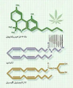 http://oloommagazine.com/images/Articles/20/SCI2004b20N12_H04_003165.jpg