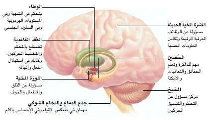 http://oloommagazine.com/images/Articles/20/SCI2004b20N12_H04_003166.jpg