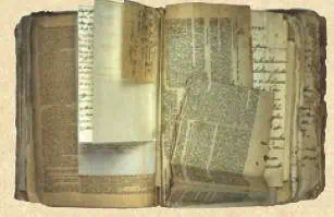 http://oloommagazine.com/images/Articles/20/SCI2004b20N12_H03_003160.jpg