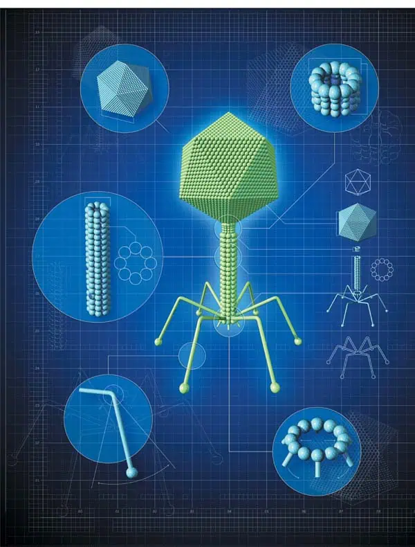 http://oloommagazine.com/images/Articles/20/SCI2004b20N10-11_H02_003057.jpg