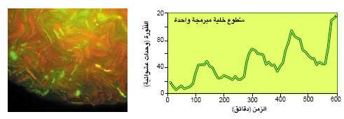 http://oloommagazine.com/images/Articles/20/SCI2004b20N10-11_H02_003062.jpg