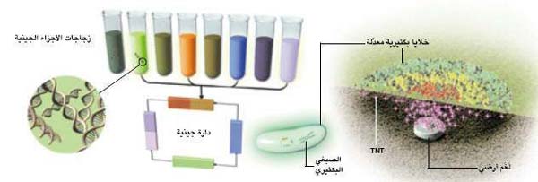 http://oloommagazine.com/images/Articles/20/SCI2004b20N10-11_H02_003064.jpg