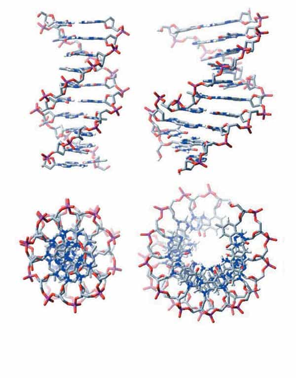 http://oloommagazine.com/images/Articles/20/SCI2004b20N10-11_H02_003066.jpg