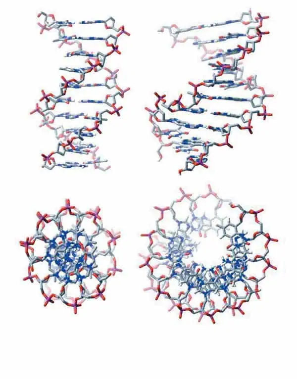 http://oloommagazine.com/images/Articles/20/SCI2004b20N10-11_H02_003066.jpg